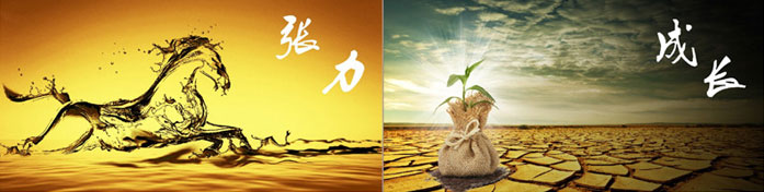 企業(yè)發(fā)展要學(xué)會(huì)取他人之長(zhǎng)、補(bǔ)自己之短